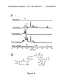 EPIGENETIC MECHANISMS OF ANTI-FIBROTIC ACTION FOR THE LIVER diagram and image