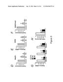 EPIGENETIC MECHANISMS OF ANTI-FIBROTIC ACTION FOR THE LIVER diagram and image