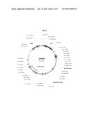 VACCINES AGAINST PATHOGENIC ESCHERICHIA COLI AND METHODS OF USING THE SAME diagram and image