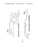 NEAR INFRARED LABEL AND METHODS OF USE THEREOF diagram and image