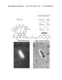 NEAR INFRARED LABEL AND METHODS OF USE THEREOF diagram and image