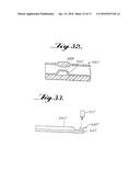 Microfluidic Size-Exclusion Devices, Systems, and Methods diagram and image