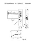 PEDESTRIAN COLLISION WARNING SYSTEM diagram and image