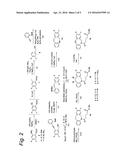 SUBSTITUTED AZADIBENZOCYCLOOCTYNE COMPOUNDS AND THEIR USE IN METAL-FREE     CLICK REACTIONS diagram and image