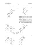 HUMIC ACID DERIVATIVES AND METHODS OF PREPARATION AND USE diagram and image