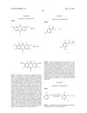 Carbofluorescein Lactone Ion Indicators and Their Applications diagram and image