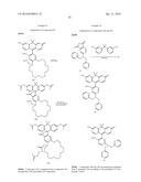 Carbofluorescein Lactone Ion Indicators and Their Applications diagram and image