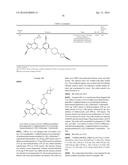 IMIDAZOTRIAZINECARBONITRILES USEFUL AS KINASE INHIBITORS diagram and image