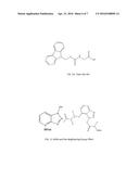 DYNORPHIN A ANALOGS WITH BRADYKININ RECEPTORS SPECIFICITY FOR MODULATION     OF NEUROPATHIC PAIN diagram and image