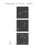 FUSION PROTEINS, RECOMBINANT BACTERIA, AND METHODS FOR USING RECOMBINANT     BACTERIA diagram and image