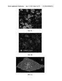 INFLAMMATORY DISEASE DIAGNOSIS AND METHODS OF TREATMENT USING     LIPOPOLYSACCHARIDES-RESPONSIVE BEIGE-LIKE ANCHOR diagram and image