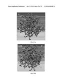 INFLAMMATORY DISEASE DIAGNOSIS AND METHODS OF TREATMENT USING     LIPOPOLYSACCHARIDES-RESPONSIVE BEIGE-LIKE ANCHOR diagram and image