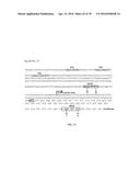 INFLAMMATORY DISEASE DIAGNOSIS AND METHODS OF TREATMENT USING     LIPOPOLYSACCHARIDES-RESPONSIVE BEIGE-LIKE ANCHOR diagram and image