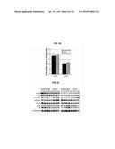 VEGF-SPECIFIC ANTAGONISTS FOR ADJUVANT AND NEOADJUVANT THERAPY AND THE     TREATMENT OF EARLY STAGE TUMORS diagram and image