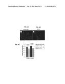 VEGF-SPECIFIC ANTAGONISTS FOR ADJUVANT AND NEOADJUVANT THERAPY AND THE     TREATMENT OF EARLY STAGE TUMORS diagram and image