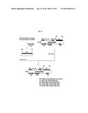 RECOMBINANT ANTIBODY COMPOSITION diagram and image