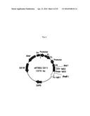 RECOMBINANT ANTIBODY COMPOSITION diagram and image