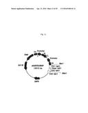 RECOMBINANT ANTIBODY COMPOSITION diagram and image