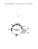 RECOMBINANT ANTIBODY COMPOSITION diagram and image