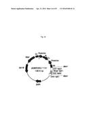 RECOMBINANT ANTIBODY COMPOSITION diagram and image