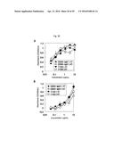 RECOMBINANT ANTIBODY COMPOSITION diagram and image