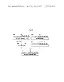 RECOMBINANT ANTIBODY COMPOSITION diagram and image