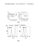 Polymer/Copper Combination for Targeted Cancer Therapy diagram and image