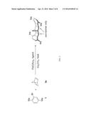 EFFICIENT SYNTHESIS OF RIGID LADDER POLYMERS diagram and image