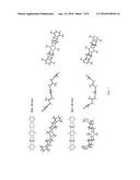 EFFICIENT SYNTHESIS OF RIGID LADDER POLYMERS diagram and image