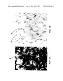 METHOD FOR CONVERSION OF DRY NANOMATERIALS INTO LIQUID NANO-AGENTS FOR     FABRICATION OF POLYMER NANOCOMPOSITES AND FIBER REINFORCED COMPOSITES diagram and image