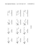 CYTOCHROME P450 AND CYTOCHROME P450 REDUCTASE POLYPEPTIDES, ENCODING     NUCLEIC ACID MOLECULES AND USES THEREOF diagram and image