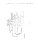 CYTOCHROME P450 AND CYTOCHROME P450 REDUCTASE POLYPEPTIDES, ENCODING     NUCLEIC ACID MOLECULES AND USES THEREOF diagram and image