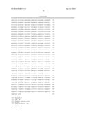 CYTOCHROME P450 AND CYTOCHROME P450 REDUCTASE POLYPEPTIDES, ENCODING     NUCLEIC ACID MOLECULES AND USES THEREOF diagram and image