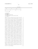 CYTOCHROME P450 AND CYTOCHROME P450 REDUCTASE POLYPEPTIDES, ENCODING     NUCLEIC ACID MOLECULES AND USES THEREOF diagram and image