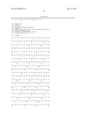 CYTOCHROME P450 AND CYTOCHROME P450 REDUCTASE POLYPEPTIDES, ENCODING     NUCLEIC ACID MOLECULES AND USES THEREOF diagram and image