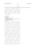 CYTOCHROME P450 AND CYTOCHROME P450 REDUCTASE POLYPEPTIDES, ENCODING     NUCLEIC ACID MOLECULES AND USES THEREOF diagram and image