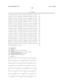 CYTOCHROME P450 AND CYTOCHROME P450 REDUCTASE POLYPEPTIDES, ENCODING     NUCLEIC ACID MOLECULES AND USES THEREOF diagram and image