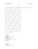 CYTOCHROME P450 AND CYTOCHROME P450 REDUCTASE POLYPEPTIDES, ENCODING     NUCLEIC ACID MOLECULES AND USES THEREOF diagram and image