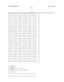 CYTOCHROME P450 AND CYTOCHROME P450 REDUCTASE POLYPEPTIDES, ENCODING     NUCLEIC ACID MOLECULES AND USES THEREOF diagram and image