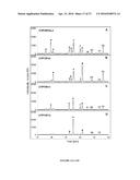 CYTOCHROME P450 AND CYTOCHROME P450 REDUCTASE POLYPEPTIDES, ENCODING     NUCLEIC ACID MOLECULES AND USES THEREOF diagram and image