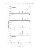 CYTOCHROME P450 AND CYTOCHROME P450 REDUCTASE POLYPEPTIDES, ENCODING     NUCLEIC ACID MOLECULES AND USES THEREOF diagram and image