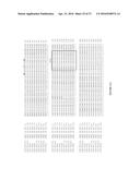 CYTOCHROME P450 AND CYTOCHROME P450 REDUCTASE POLYPEPTIDES, ENCODING     NUCLEIC ACID MOLECULES AND USES THEREOF diagram and image