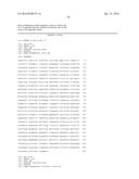 CYTOCHROME P450 AND CYTOCHROME P450 REDUCTASE POLYPEPTIDES, ENCODING     NUCLEIC ACID MOLECULES AND USES THEREOF diagram and image