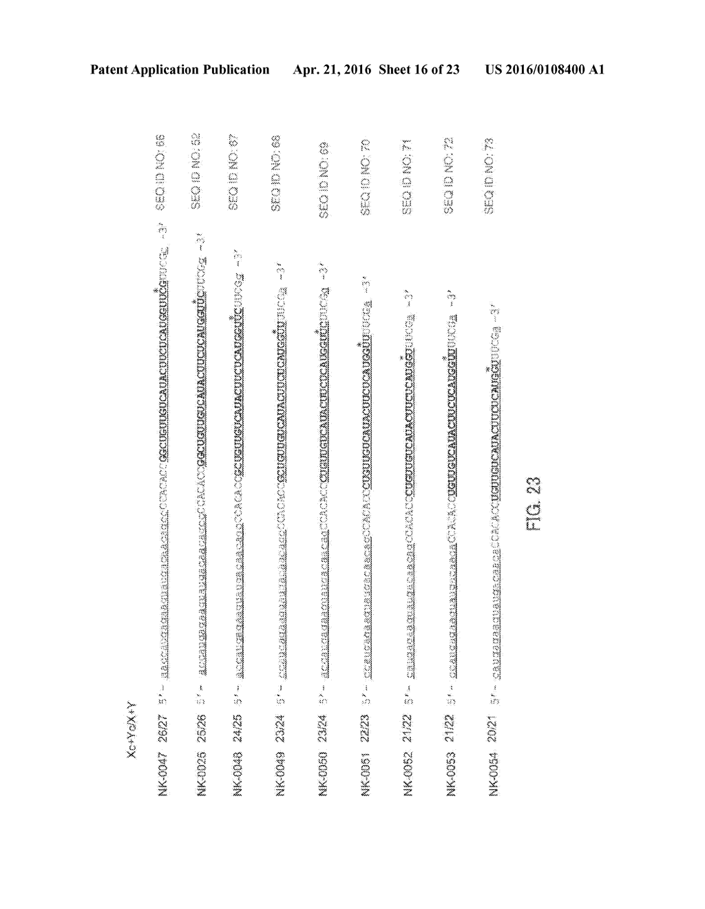 Single-Stranded Nucleic Acid Molecule for Controlling Gene Expression - diagram, schematic, and image 17