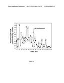 GROWTH-RELATED ENOX PROTEINS FROM PLANTS WITH YIELD ENHANCEMENT POTENTIAL,     SEQUENCES AND METHODS diagram and image