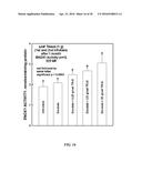 GROWTH-RELATED ENOX PROTEINS FROM PLANTS WITH YIELD ENHANCEMENT POTENTIAL,     SEQUENCES AND METHODS diagram and image