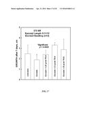 GROWTH-RELATED ENOX PROTEINS FROM PLANTS WITH YIELD ENHANCEMENT POTENTIAL,     SEQUENCES AND METHODS diagram and image