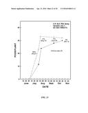 GROWTH-RELATED ENOX PROTEINS FROM PLANTS WITH YIELD ENHANCEMENT POTENTIAL,     SEQUENCES AND METHODS diagram and image