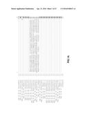 MANIPULATION OF GLUTAMINE SYMTHETASES (GS) TO IMPROVE NITROGEN USE     EFFICIENCY AND GRAIN YIELD IN HIGHER PLANTS diagram and image