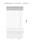 MANIPULATION OF GLUTAMINE SYMTHETASES (GS) TO IMPROVE NITROGEN USE     EFFICIENCY AND GRAIN YIELD IN HIGHER PLANTS diagram and image